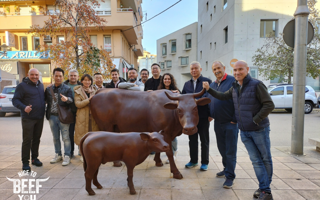 Chinese Delegation Exploring EU Beef industry in Spain: Collaborating for Industry Development